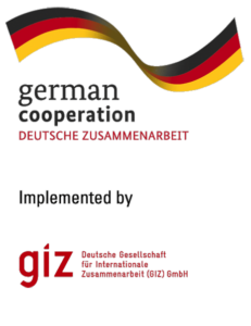 giz-bmz-logo