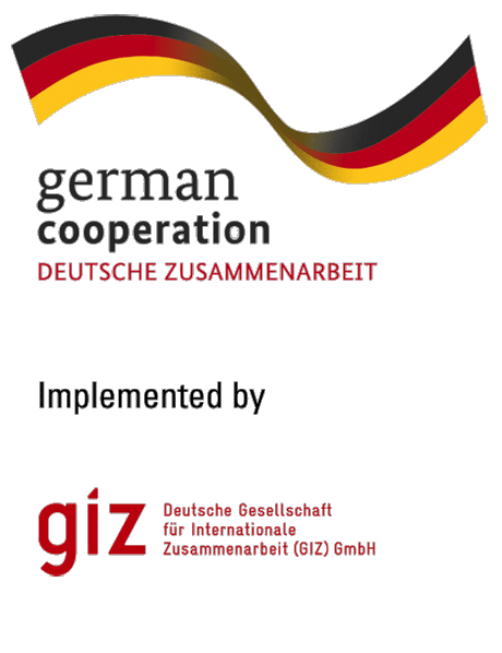 giz-bmz-logo
