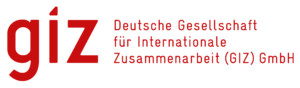 GIZ logo