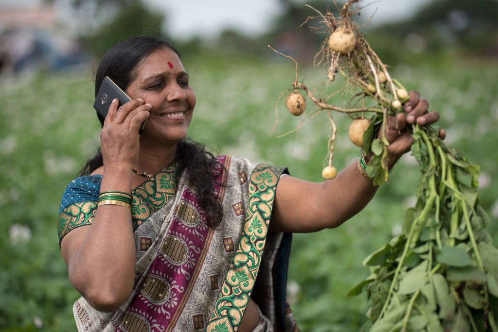 green inovation center / wakalwadi Seed Potato /village / mahara