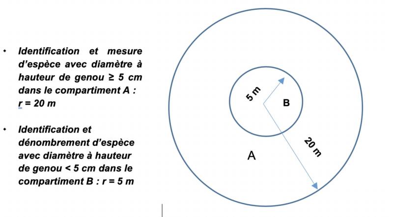 Bildschirmfoto 2019-10-11 um 16.31.22