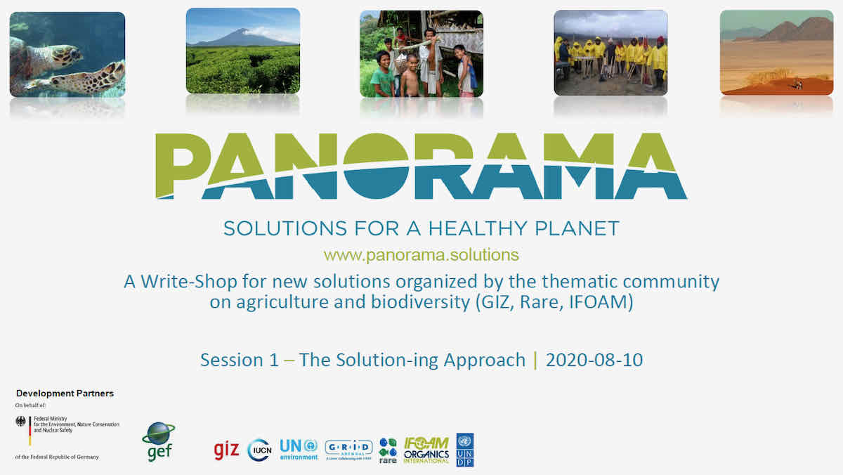 PANORAMA-newsletter-pic