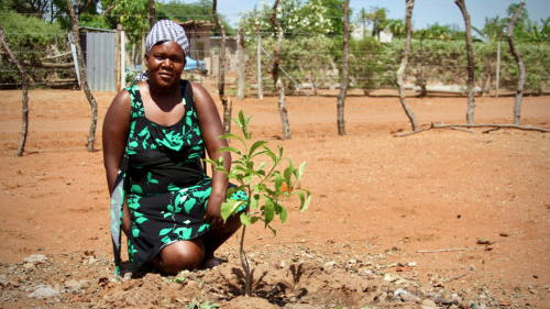 EcoProducts – Baobab guardian Doris Nekhumbelo