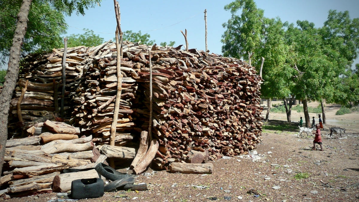 Wertschˆpfungskette Holzenergie in der Region ExtrÍme Nord in Kamerun