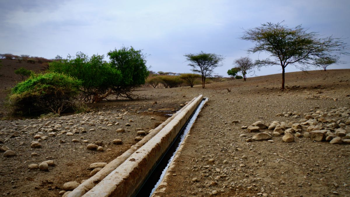 DSC01118