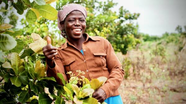 MicrosoftTeams-image