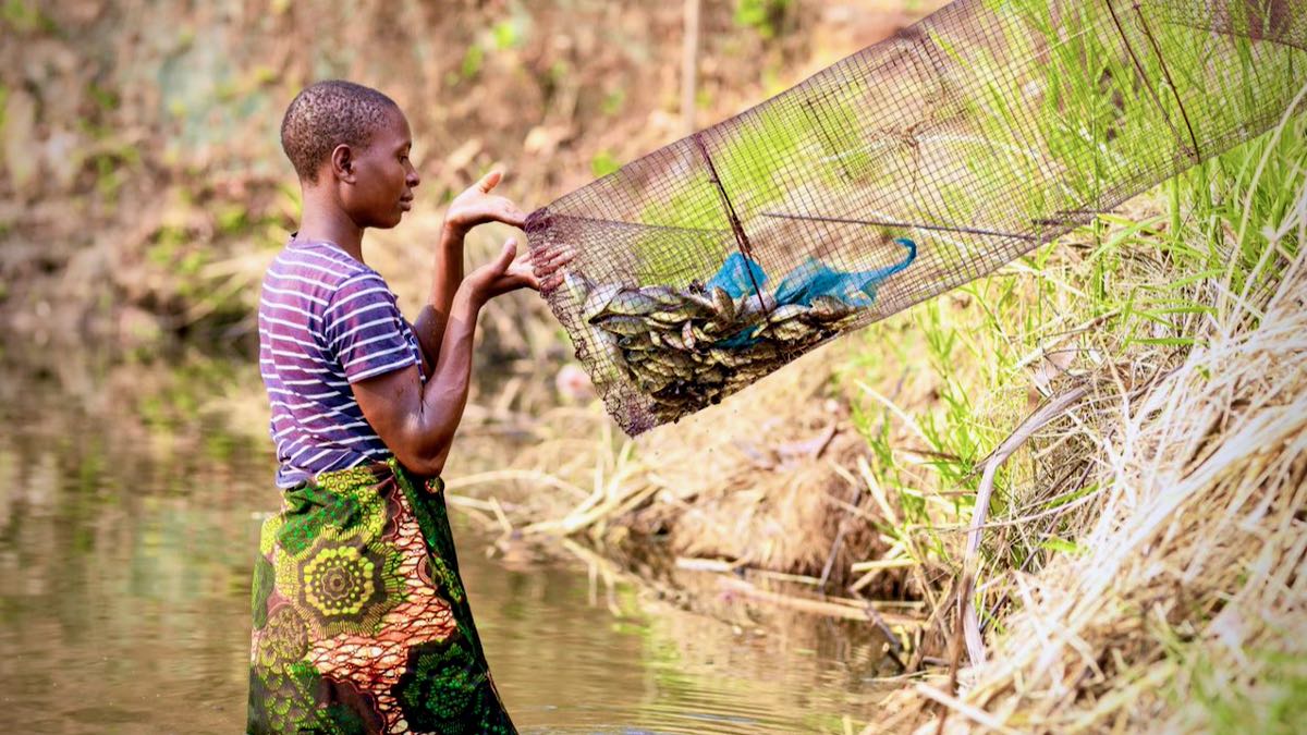 Fish farmer in Zomba ©Spotlight Photography
