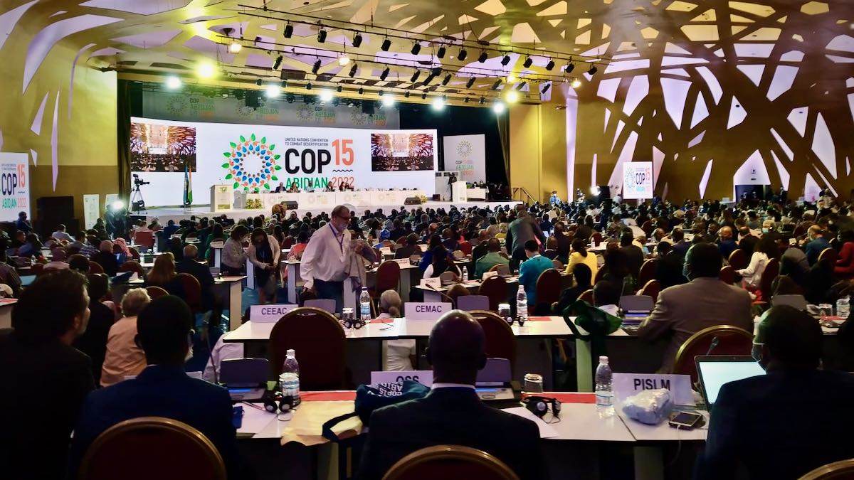 UNCCD CoP15 plenary 