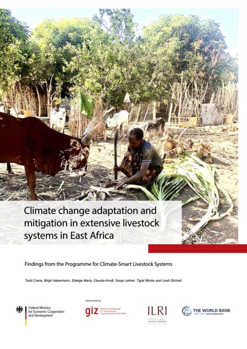 Shaping The Way for Climate Change Mitigation and Adaptation in ...