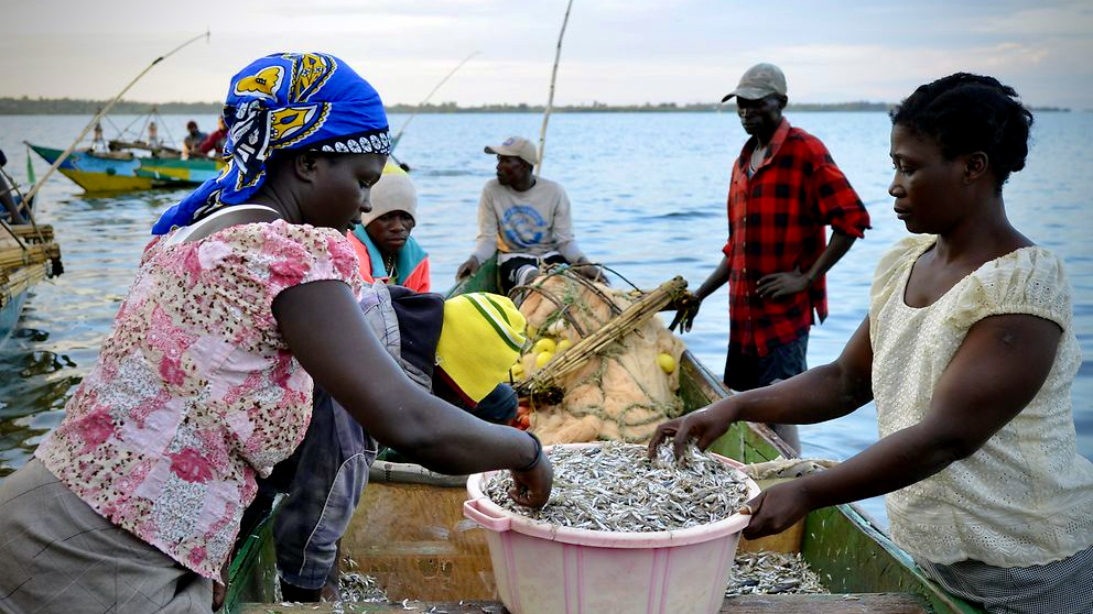 SSF_victorialake_copyright_GIZ_Dirk_Ostermeier Lake Victoria