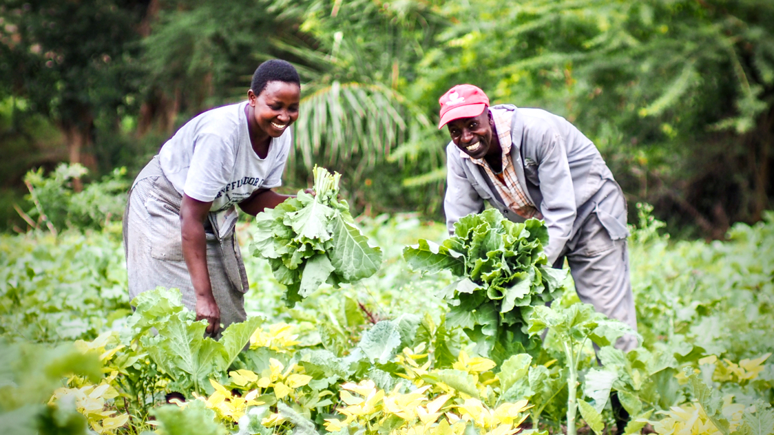 Re-Imagining Rural Development for Resilience, Equity and Nature