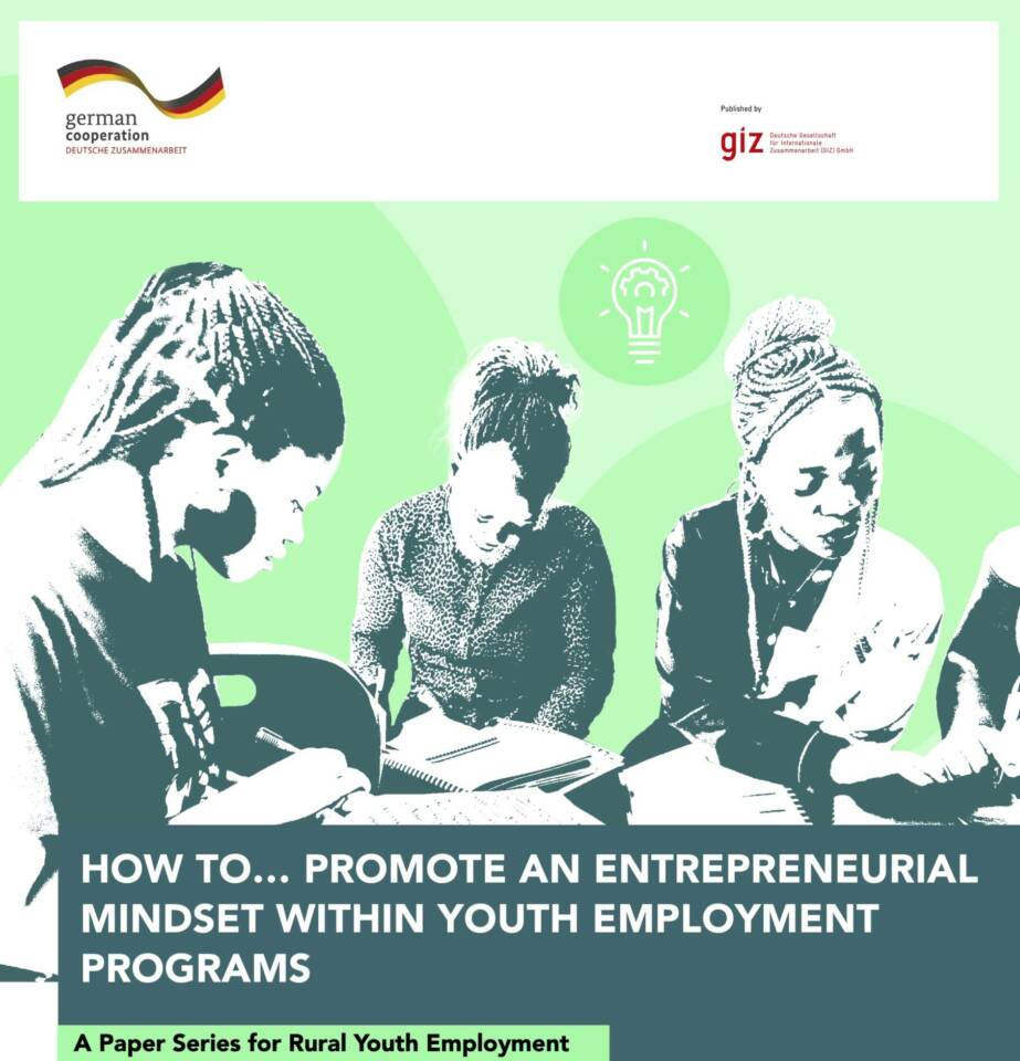 entrepreneur mindset