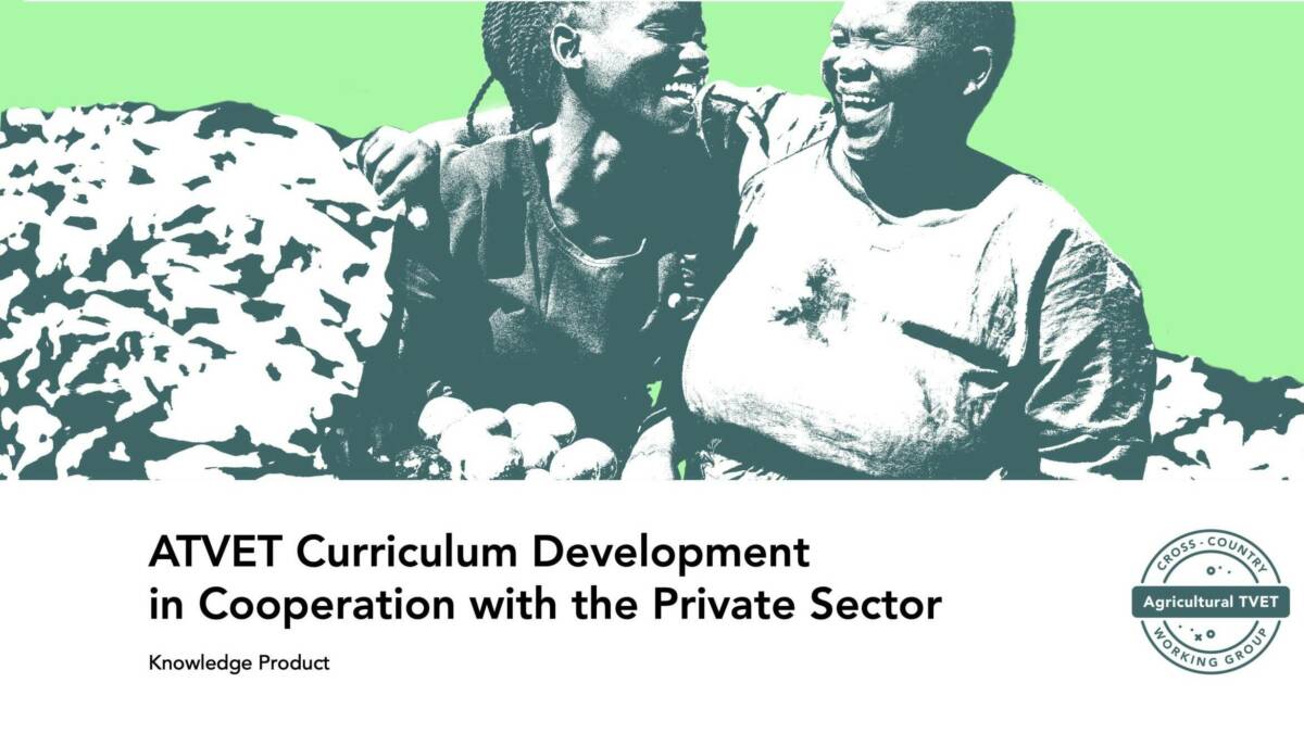 curriculum development