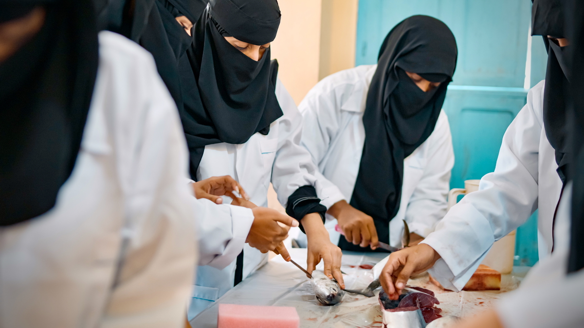 Picture 7_Training for women on fish processing