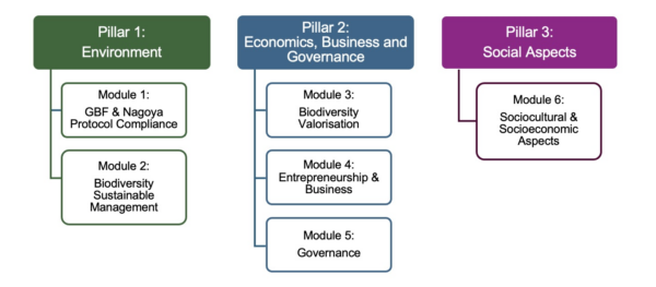 bioInnovation structure