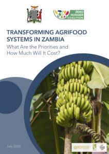 Transforming agrifood systems in Zambia
